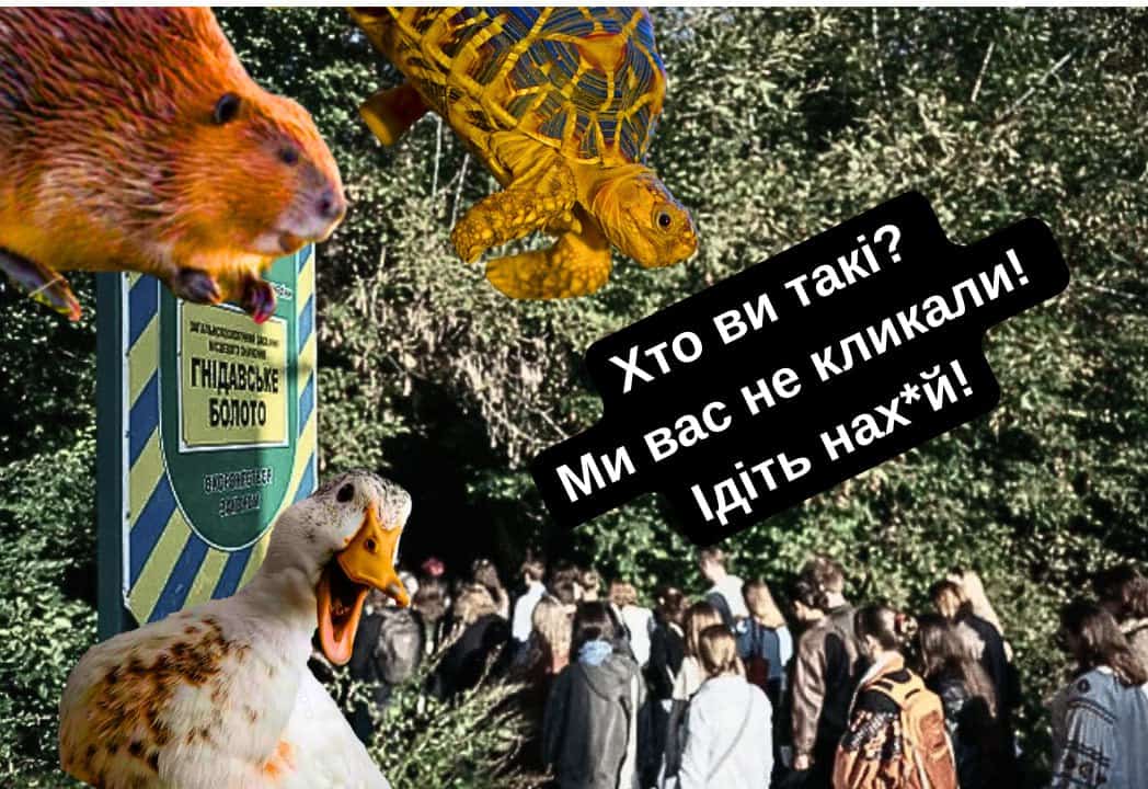 Покоління смузі: «коти леопольди» нашого часу